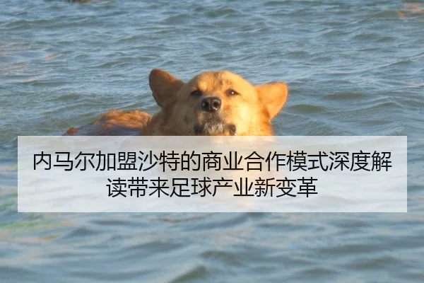 内马尔加盟沙特的商业合作模式深度解读带来足球产业新变革
